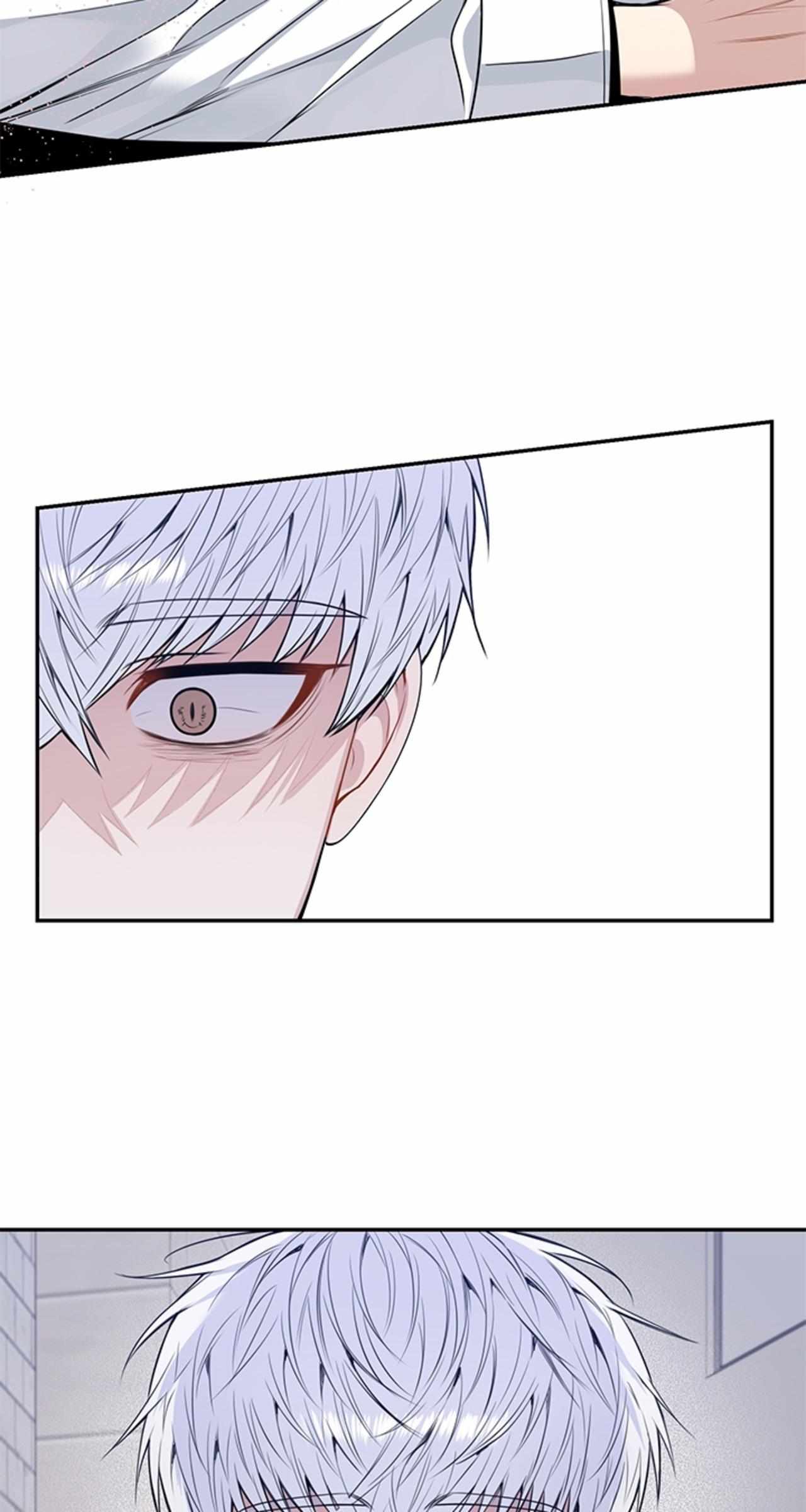 Cherry Blossoms After Winter Chapter 152 - Page 42 in English