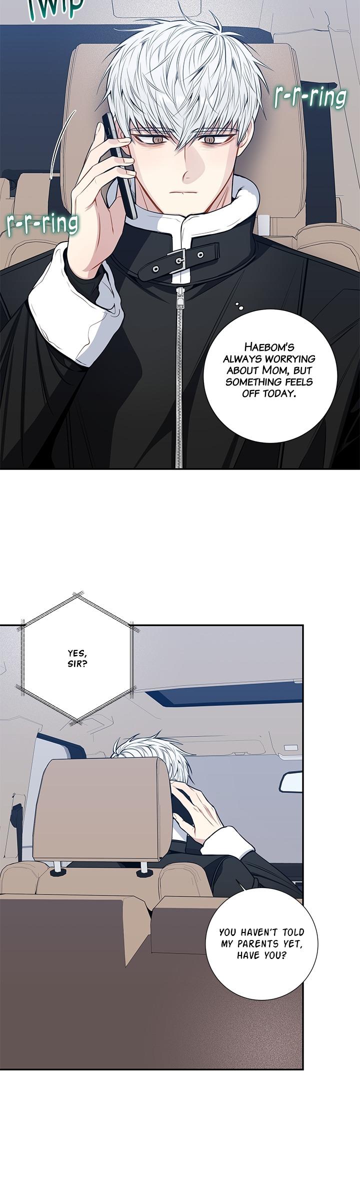 Cherry Blossoms After Winter Chapter 156 - Page 15 in English