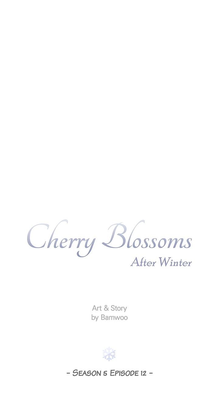 Cherry Blossoms After Winter Chapter 158 - Page 14 in English