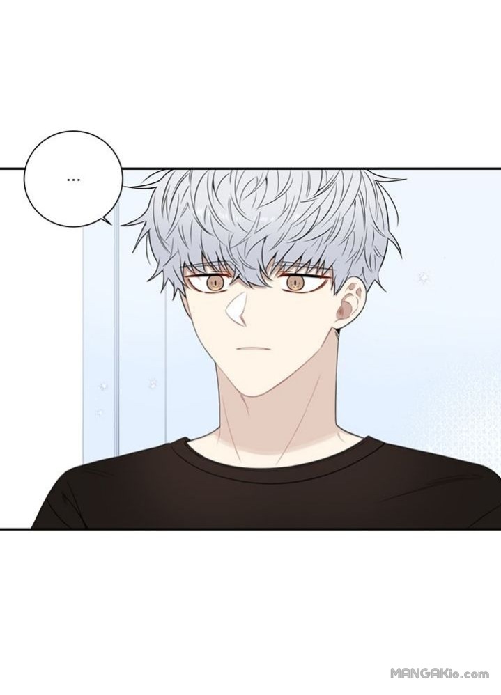 Cherry Blossoms After Winter Chapter 71 - Page 50 in English