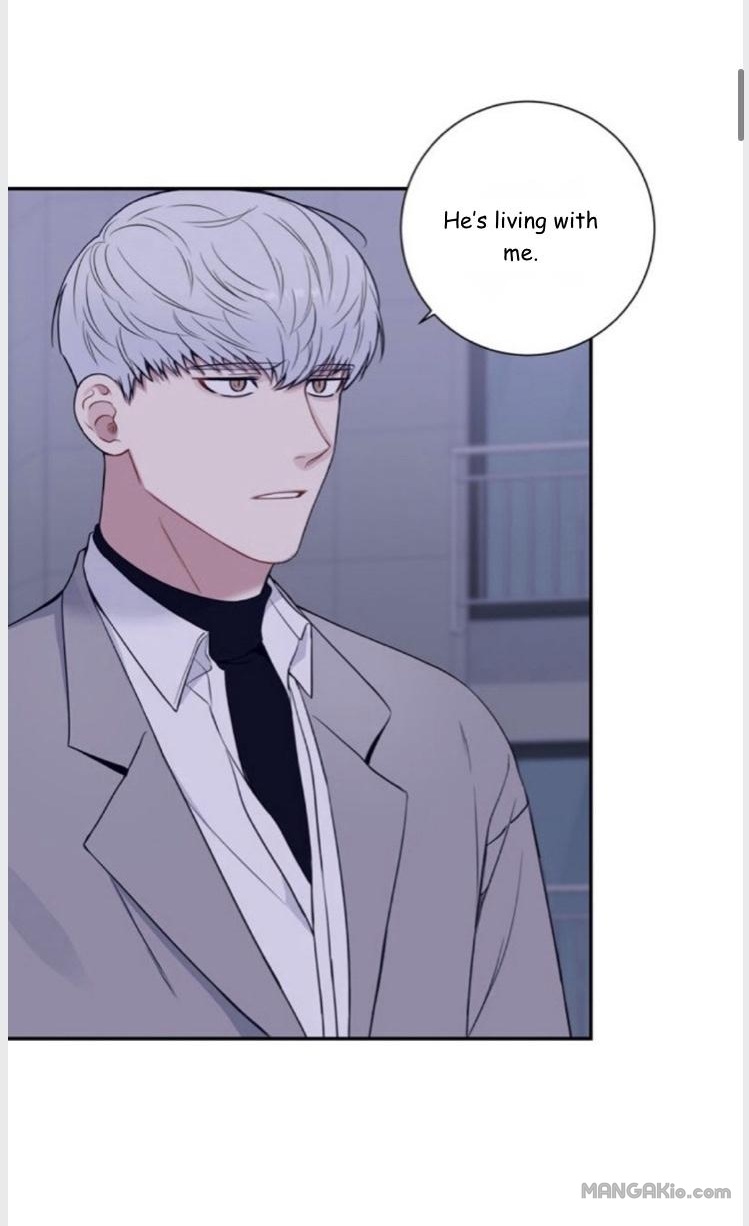 Cherry Blossoms After Winter Chapter 96 - Page 8 in English