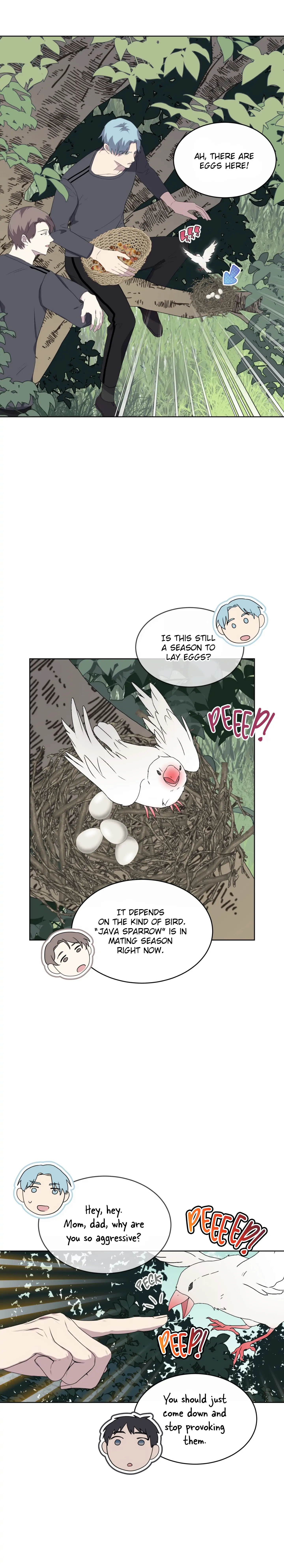 Forest Sea Chapter 24 - Page 4 in English