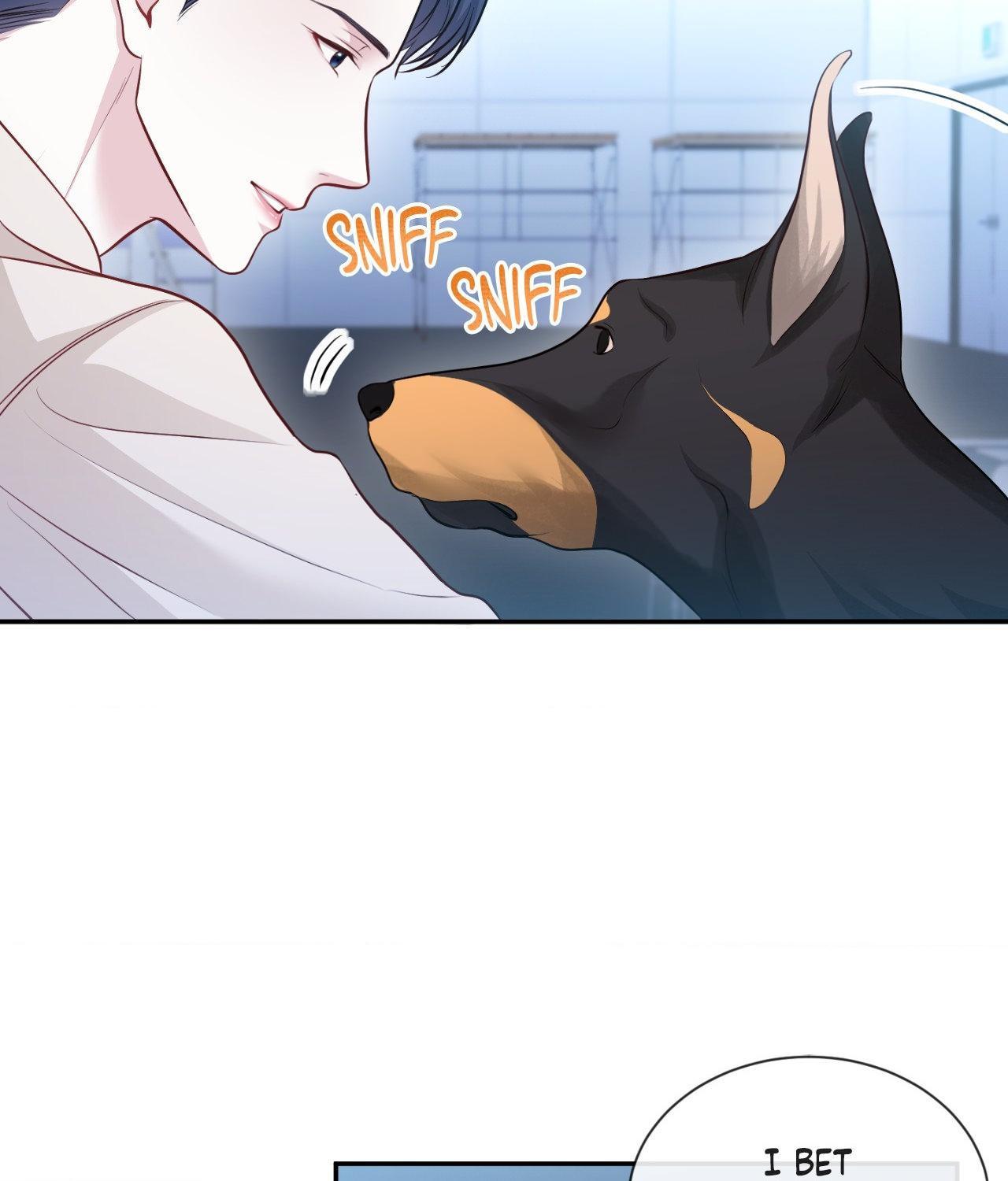 The Path Of Star Chapter 75 - Page 63 in English