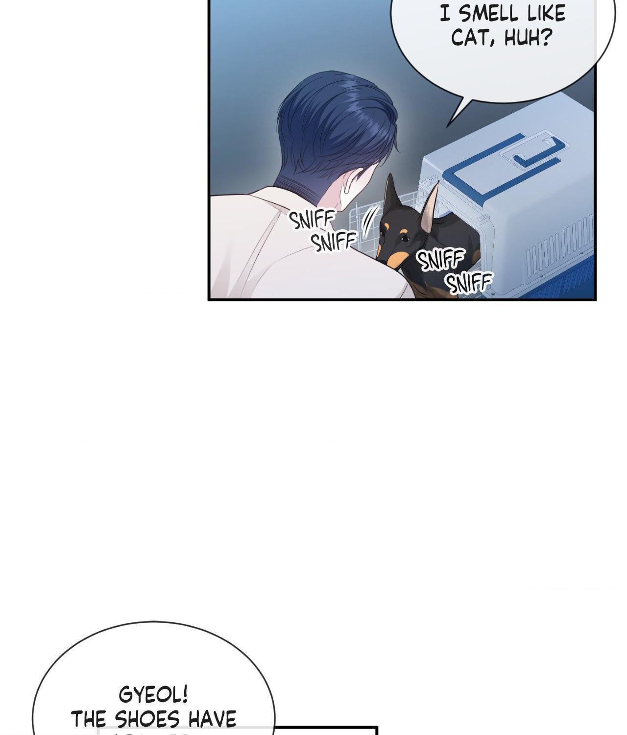 The Path Of Star Chapter 75 - Page 64 in English