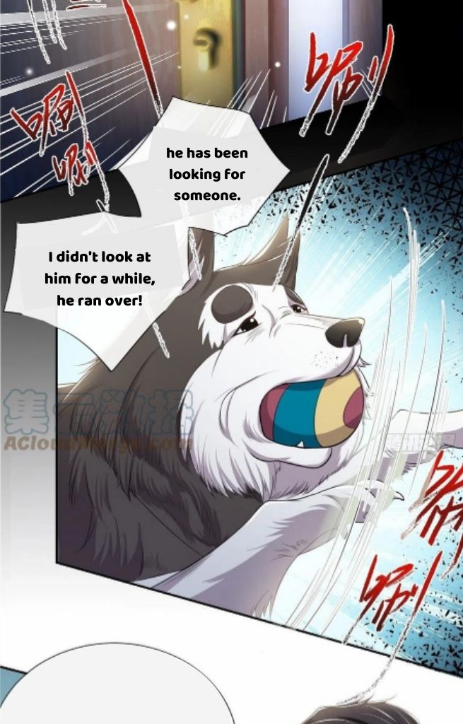 I’m A Stand-in Puppet For His Ex-Lover Chapter 29 - Page 14 in English