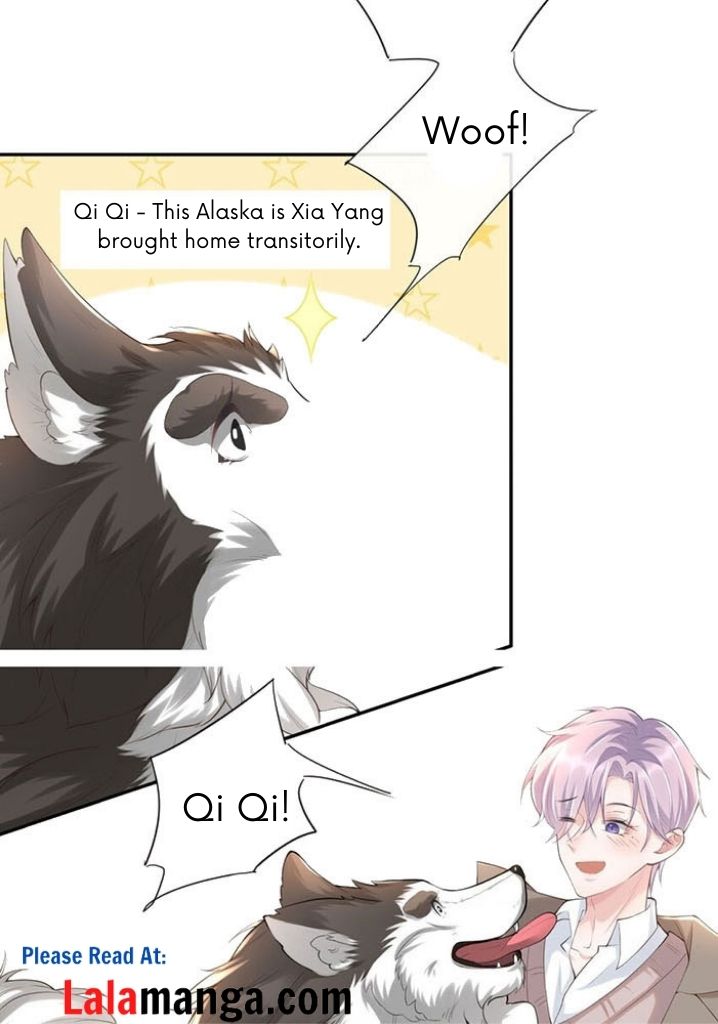 I’m A Stand-in Puppet For His Ex-Lover Chapter 3 - Page 17 in English