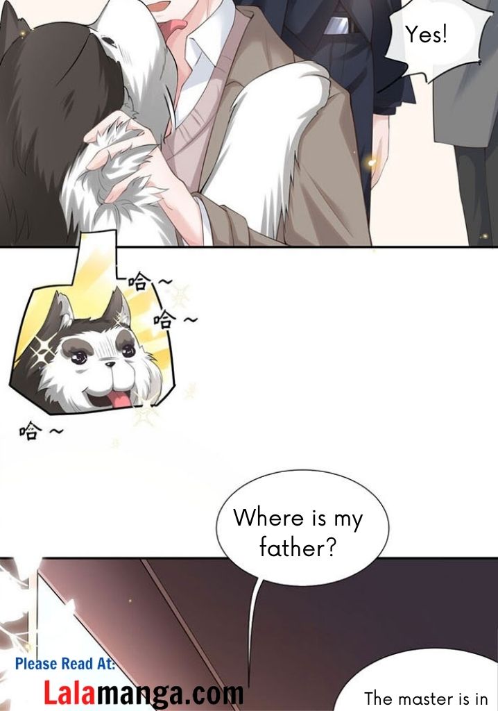 I’m A Stand-in Puppet For His Ex-Lover Chapter 3 - Page 20 in English