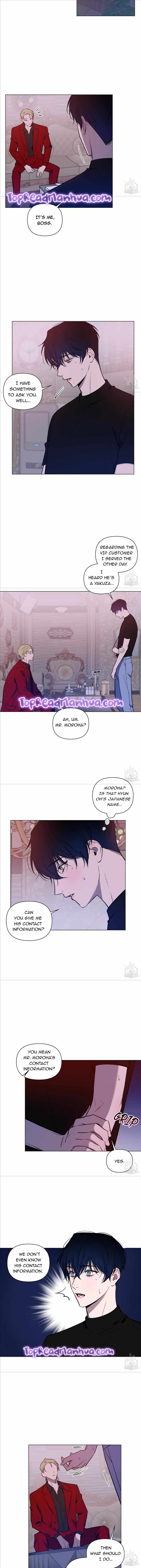 The Dawn Split The Night | ilovecheetos Chapter 13 - Page 8 in English