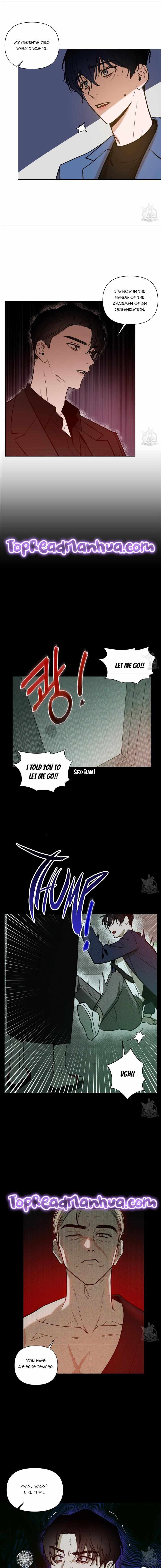 The Dawn Split The Night | ilovecheetos Chapter 15 - Page 9 in English