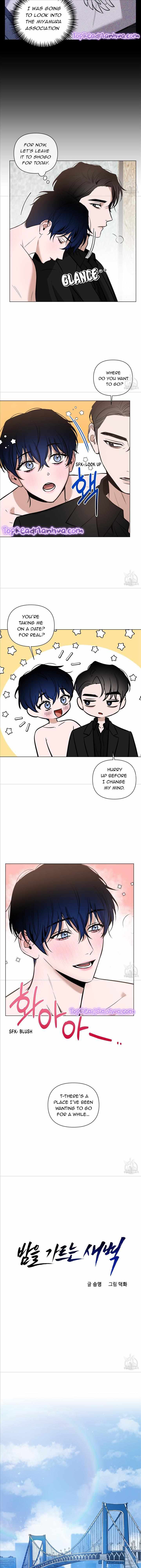 The Dawn Split The Night | ilovecheetos Chapter 18 - Page 11 in English