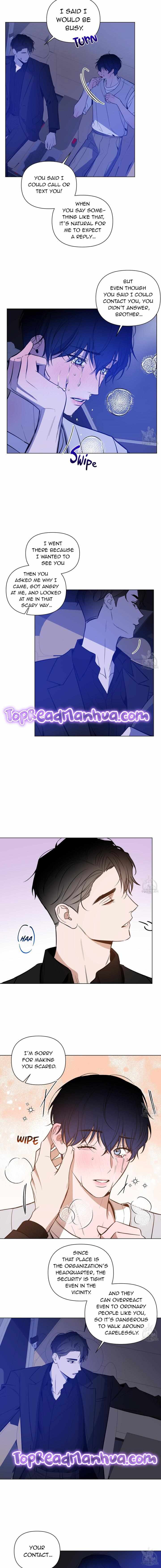 The Dawn Split The Night | ilovecheetos Chapter 29 - Page 3 in English