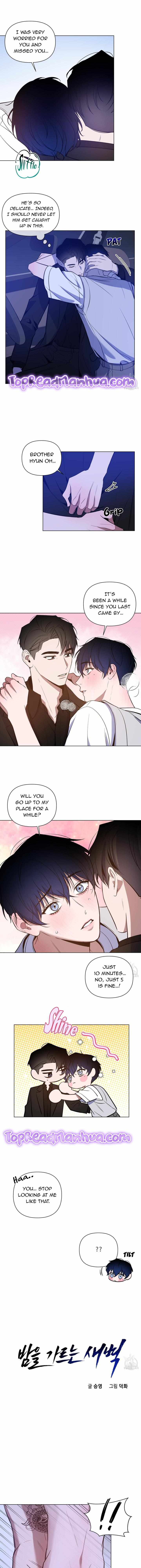 The Dawn Split The Night | ilovecheetos Chapter 29 - Page 5 in English