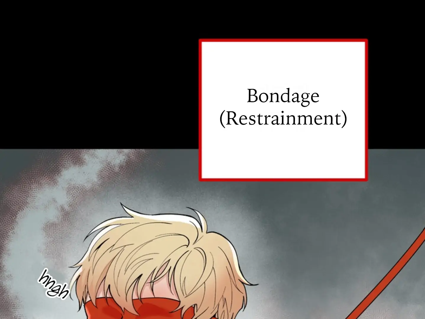 A Basic Guidebook to BDSM Chapter 1 - Page 5 in English