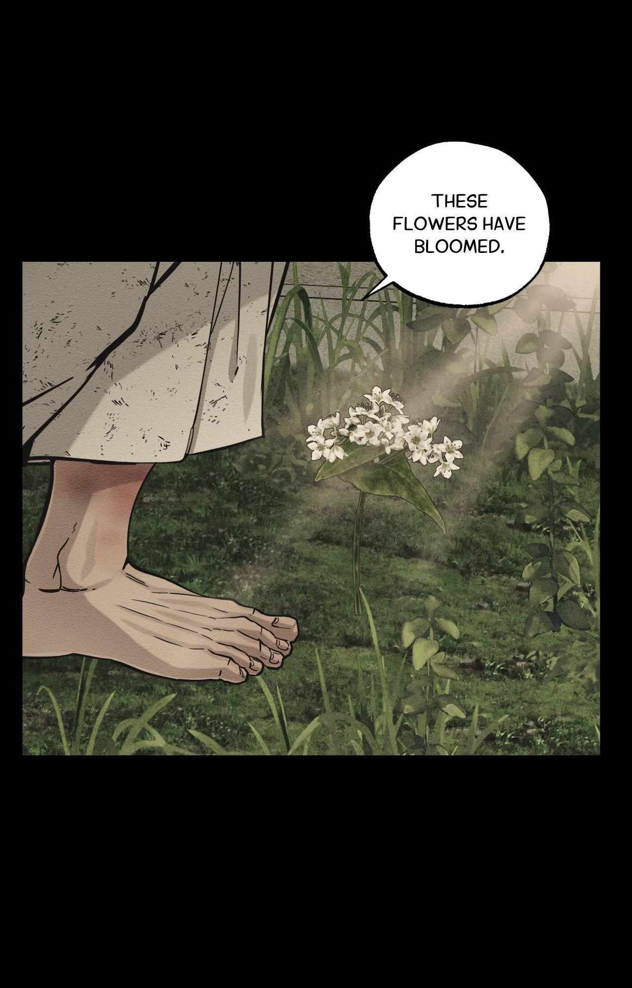 The Heart of the Lotus Chapter 62 - Page 86 in English
