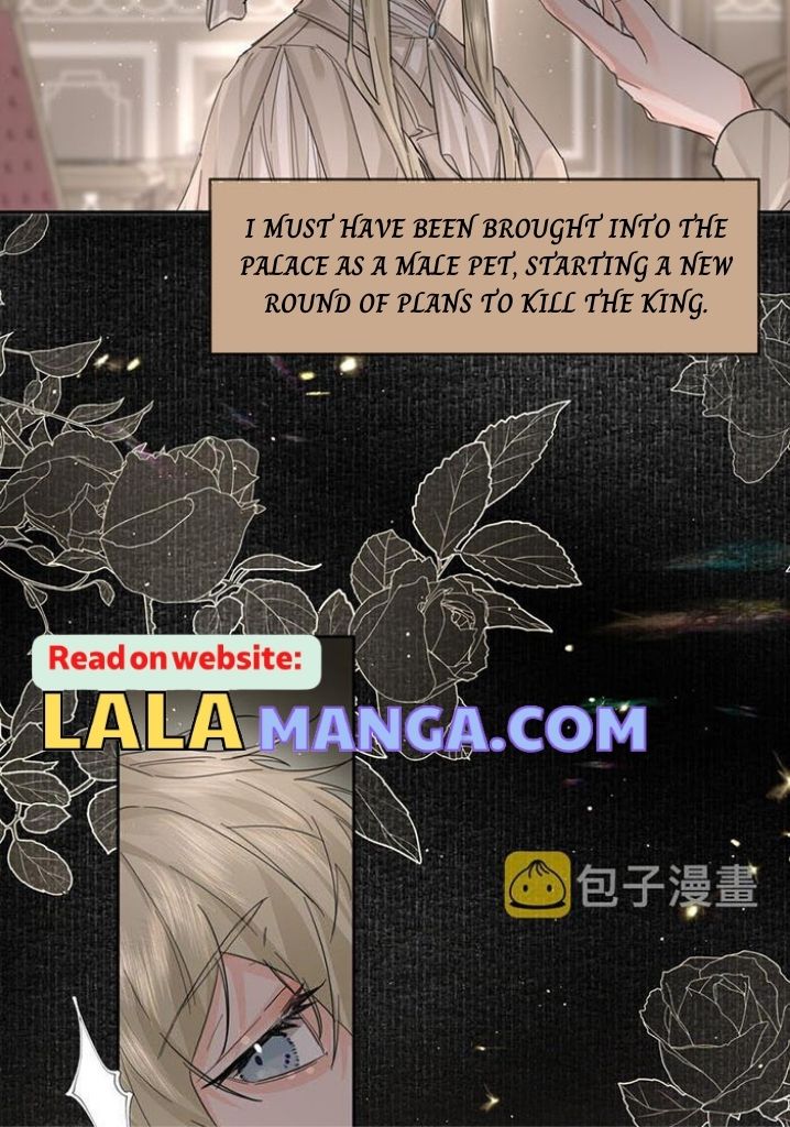 The Ex Is My King Chapter 12 - Page 5 in English