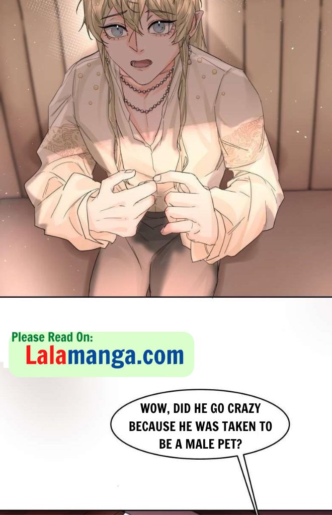 The Ex Is My King Chapter 13 - Page 41 in English