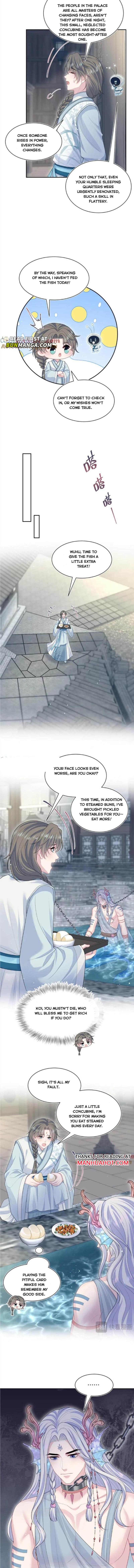 Seize My Boyfriend Chapter 374 - Page 6 in English