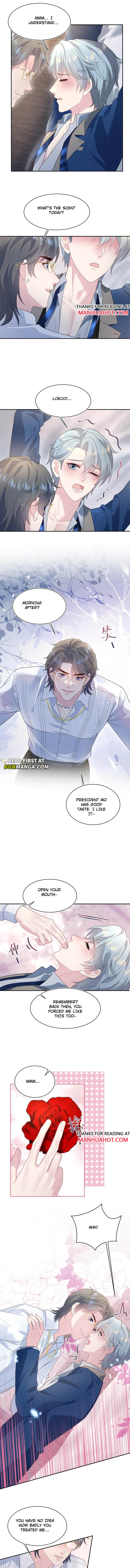 Seize My Boyfriend Chapter 446 - Page 5 in English