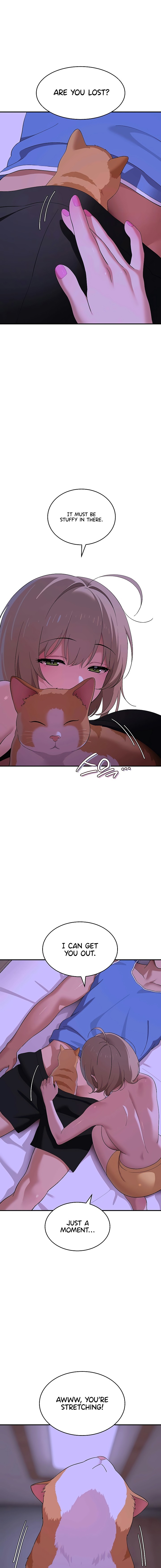 The Meek Cat Chapter 7 - Page 5 in English