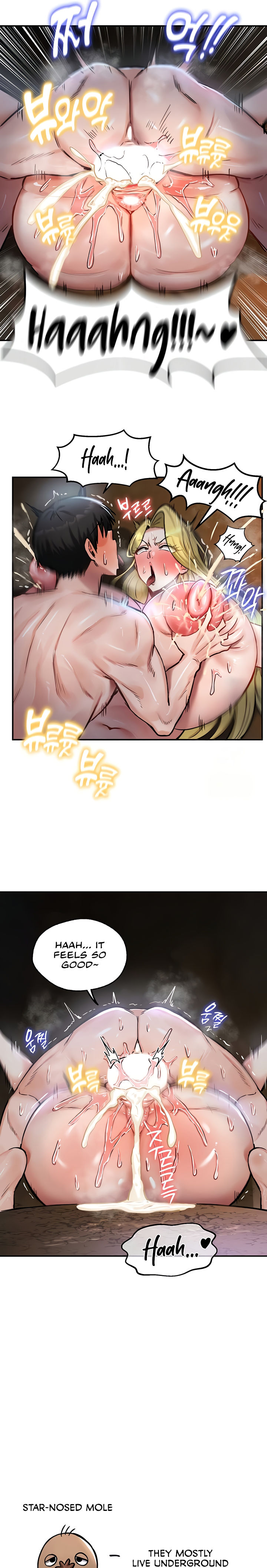 Regressed Warrior’s Female Dominance Diary Chapter 45 - Page 13 in English