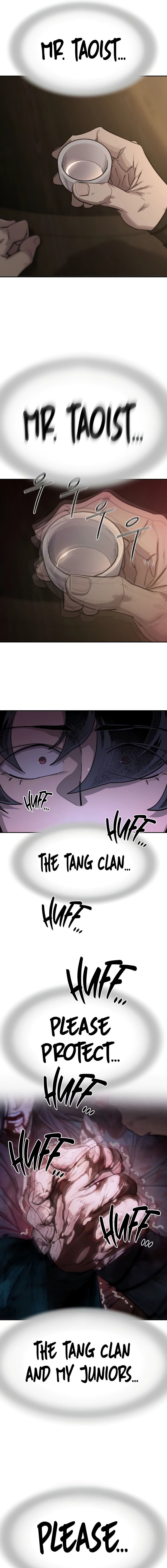 Return of the Mount Hua Sect Chapter 126 - Page 17 in English