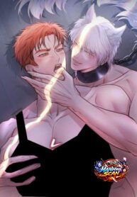 The Wolf and the Delinquent
