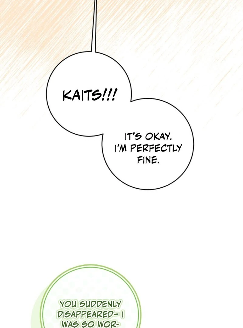 I Went On Strike Because It Was A Time Limit chapter 117 page 71