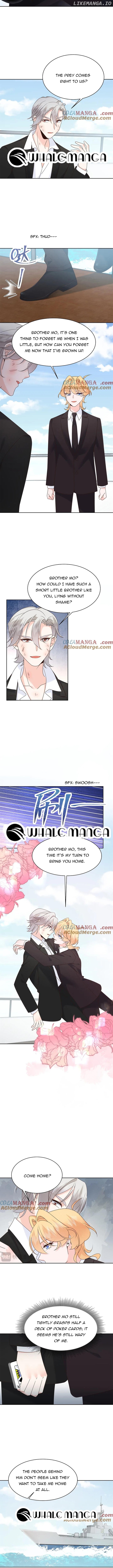 National School Prince Is A Girl chapter 490 page 4