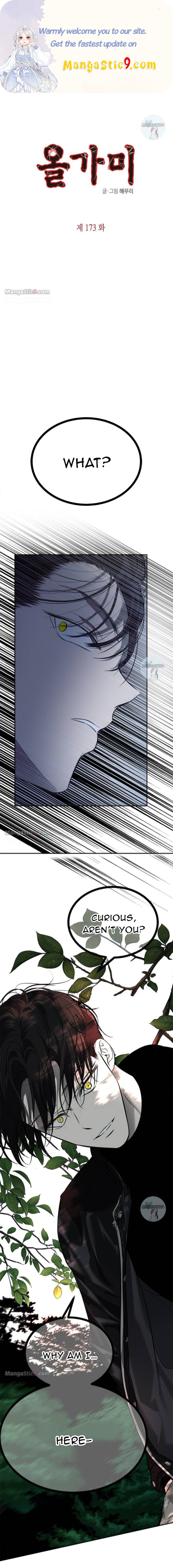 Olgami chapter 173 page 1