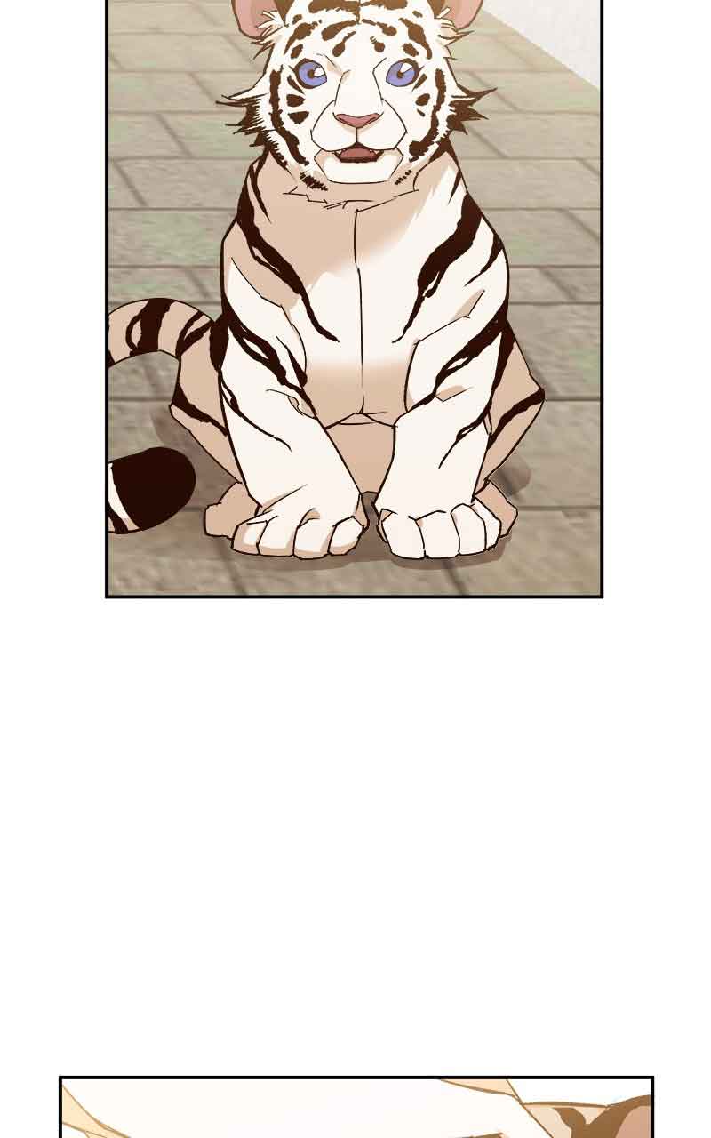 Goddess’s Way of Attacking Tigers chapter 1 page 32