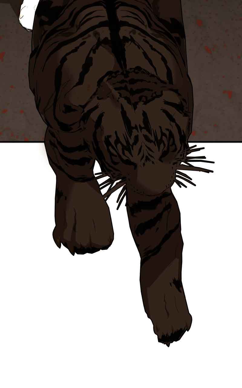 Goddess’s Way of Attacking Tigers chapter 2 page 30