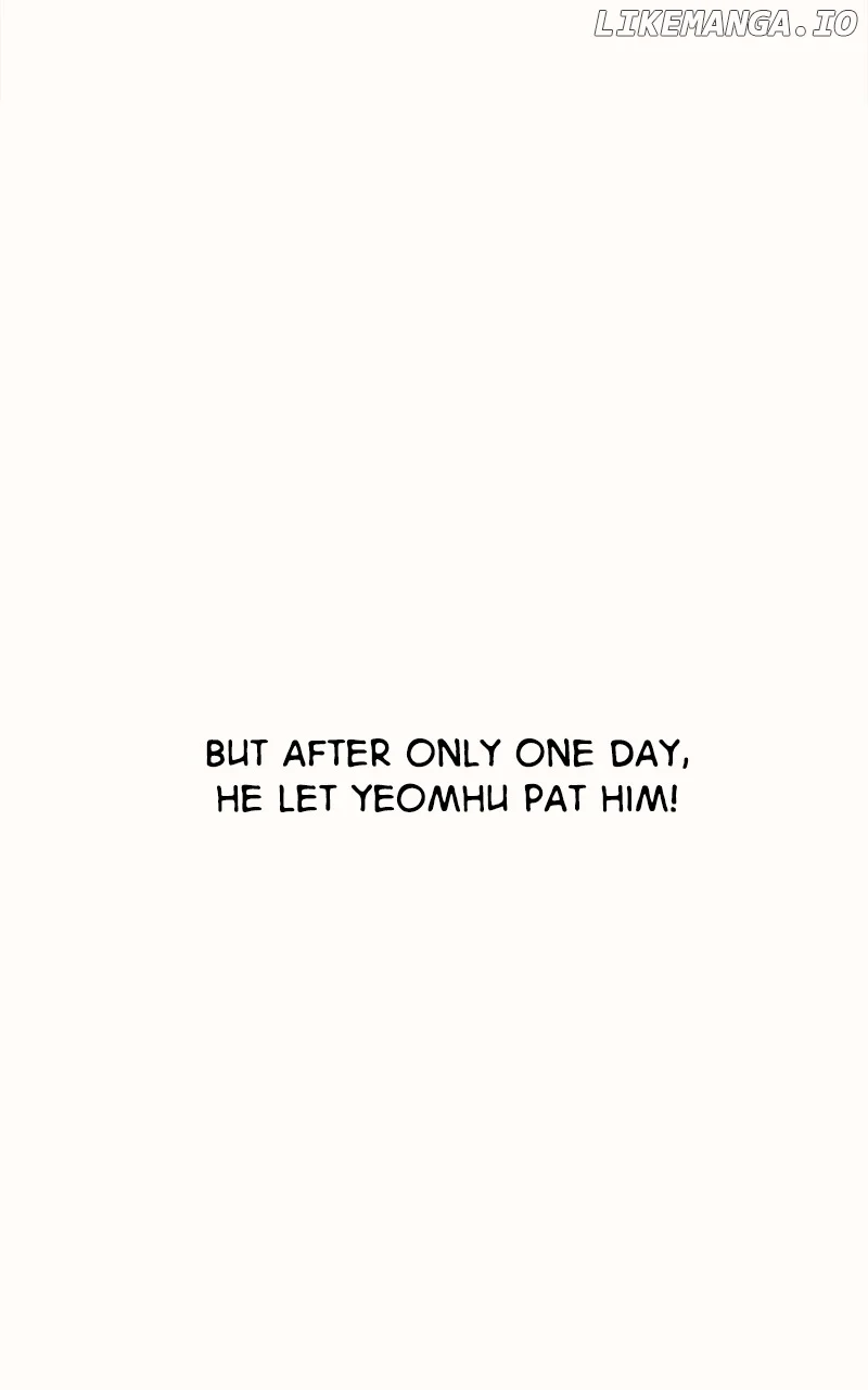 Goddess’s Way of Attacking Tigers chapter 33 page 160