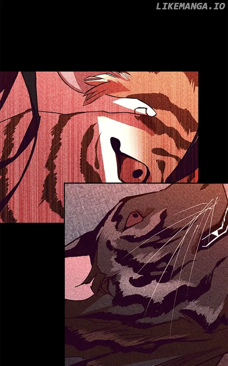 Goddess’s Way of Attacking Tigers chapter 43 page 23