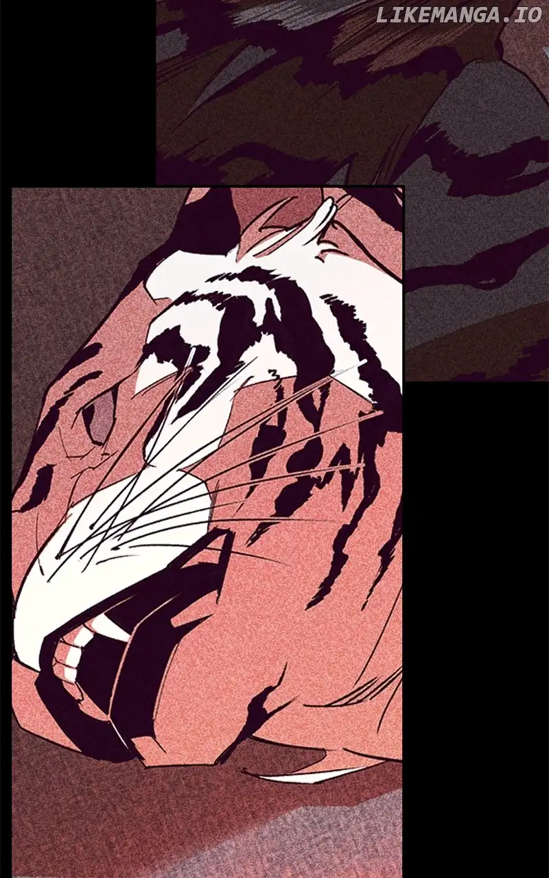 Goddess’s Way of Attacking Tigers chapter 43 page 24