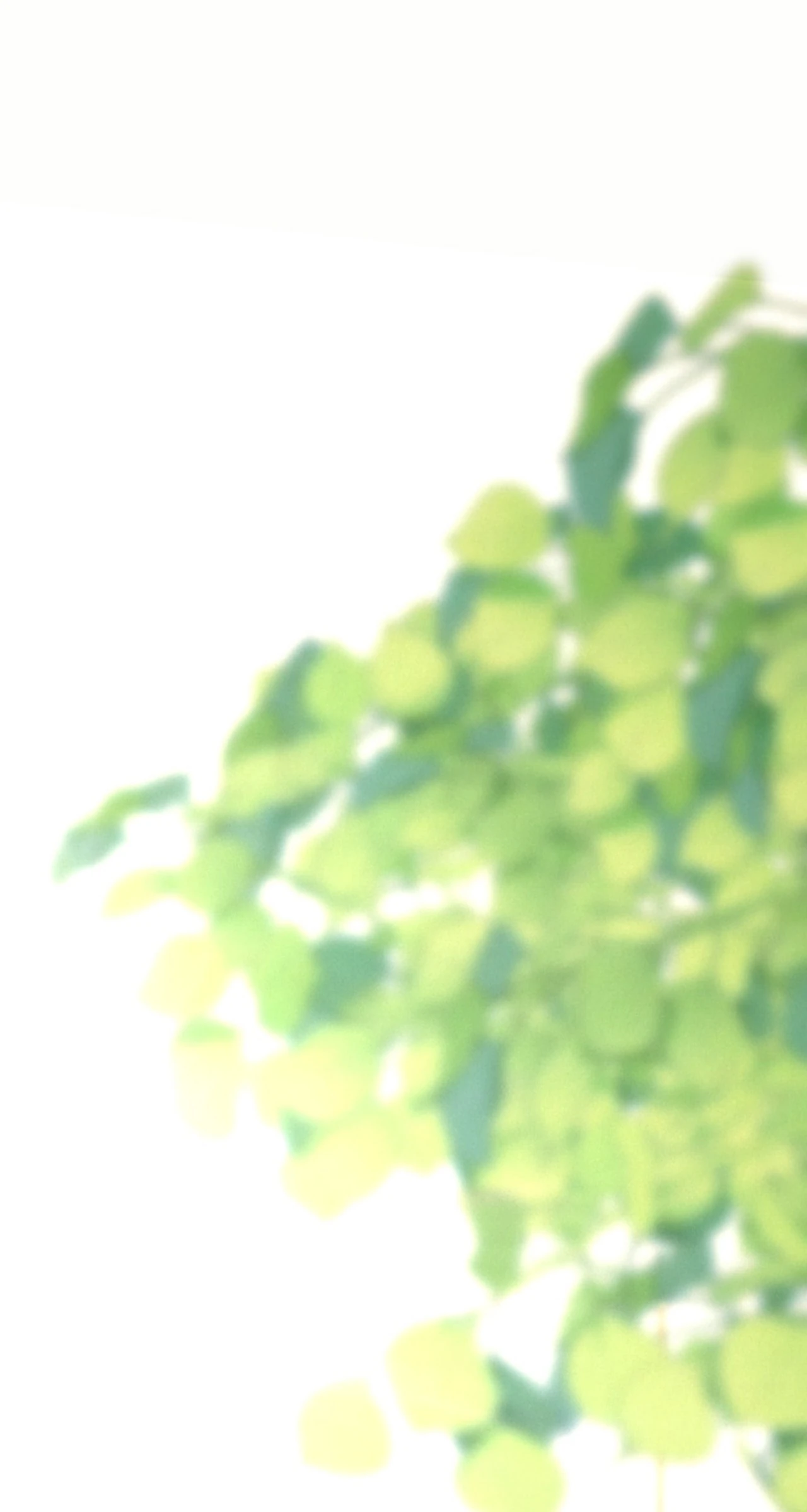 This Time, the Tears Were Mine chapter 62 page 80