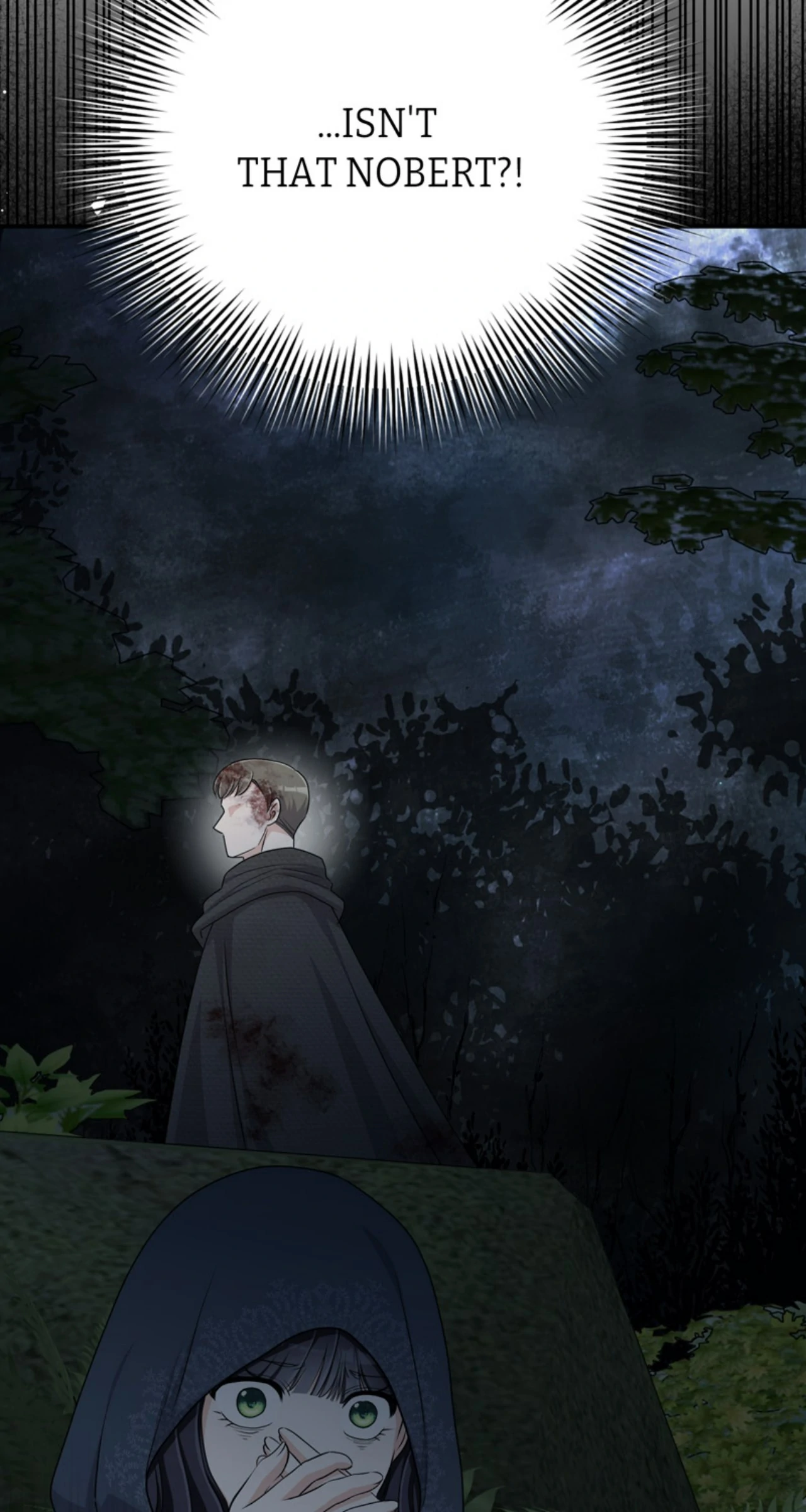 This Time, the Tears Were Mine chapter 64 page 81