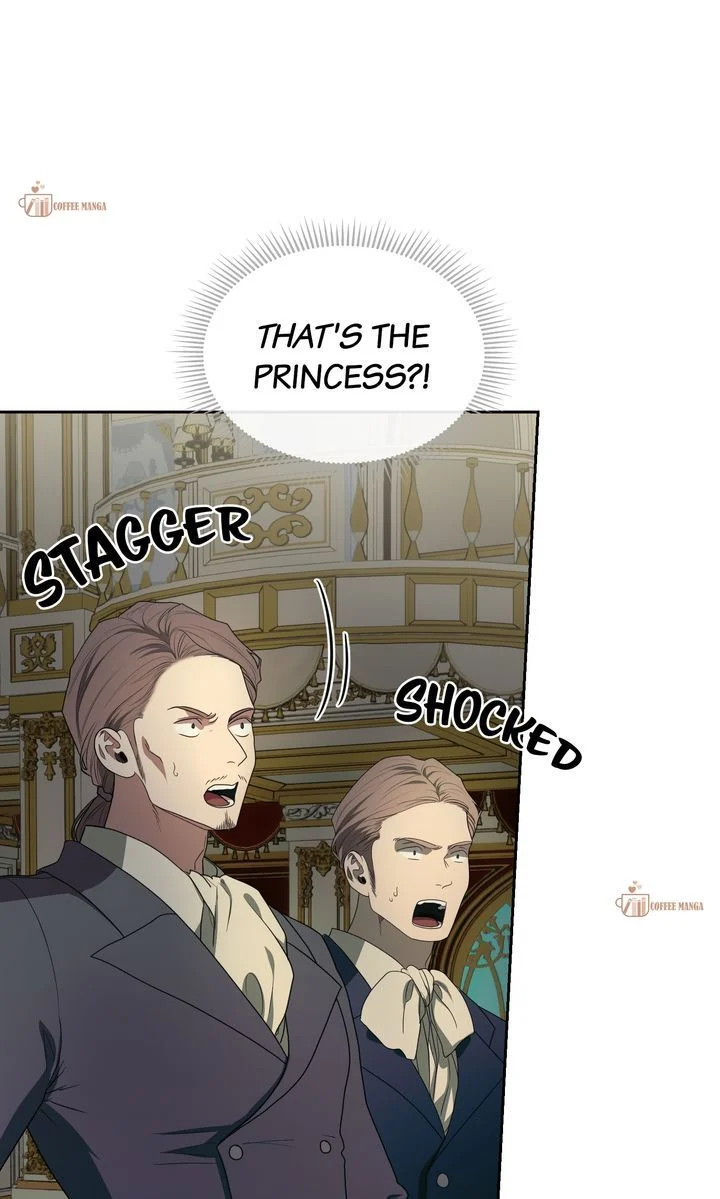 Marriage Contract With Two Husbands chapter 45 page 5