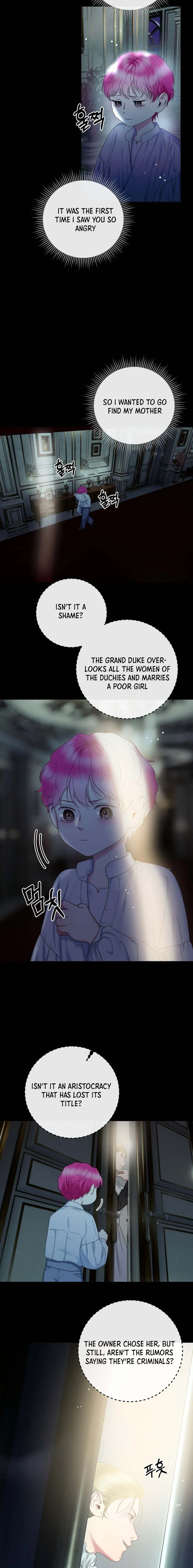 Marriage Contract With Two Husbands chapter 9 page 17