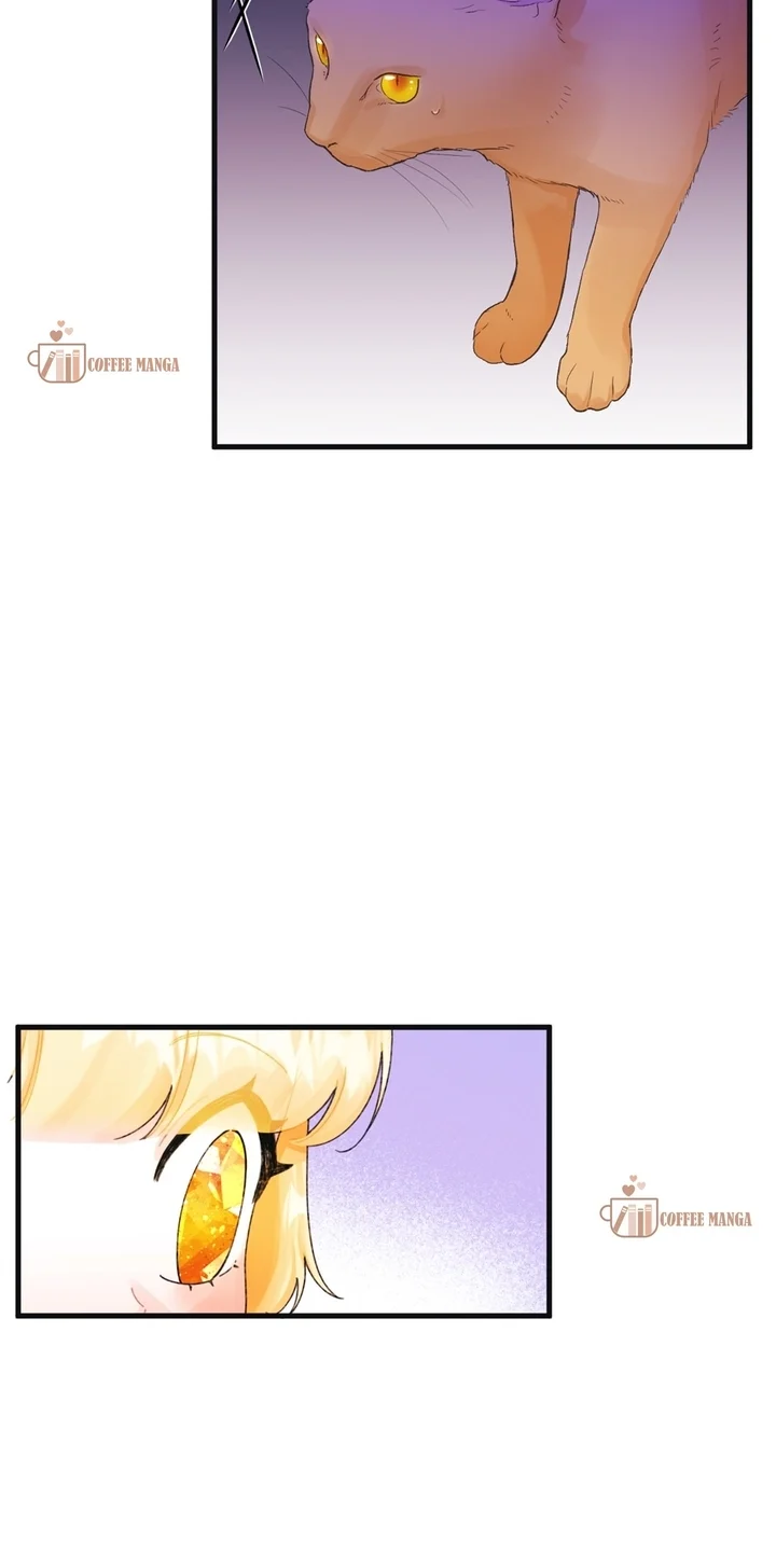 The Princess In The Dumpster chapter 73 page 31