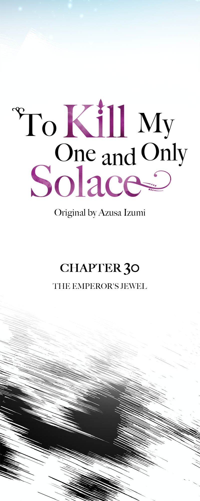To Kill My One and Only Solace chapter 30 page 6