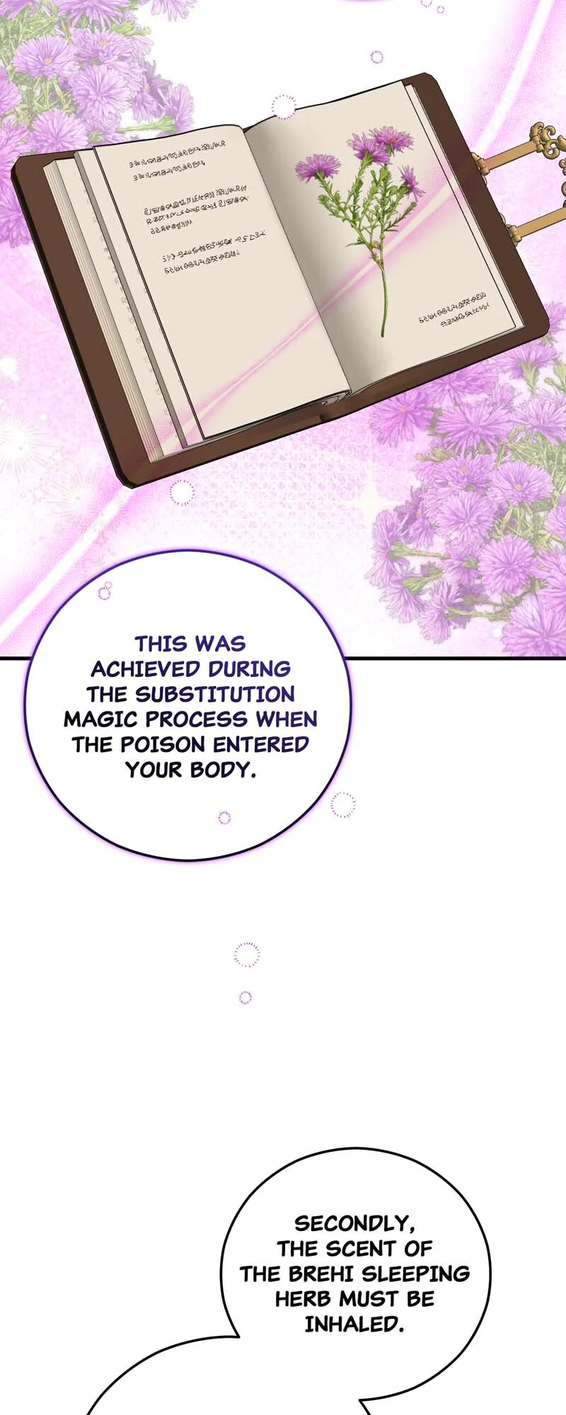 Don’t Look Back, Seisia! chapter 120 page 50