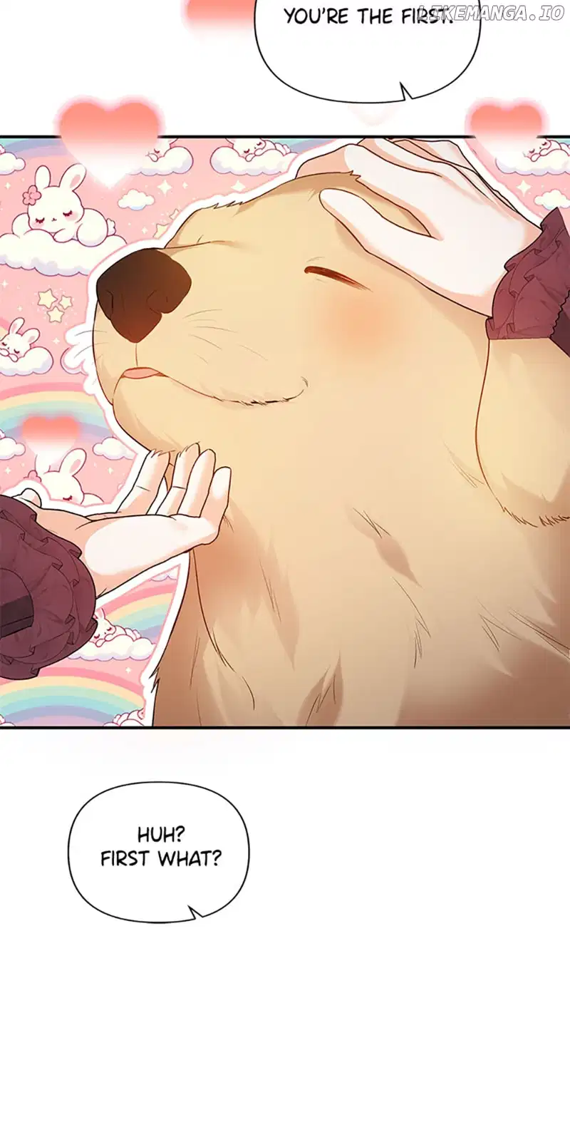 I Created a Harem to Avoid the Male Lead chapter 38 page 48