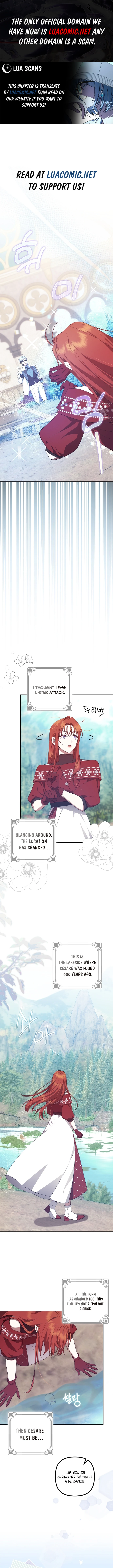 The Abandoned Bachelorette Enjoys Her Simple Life chapter 66 page 1