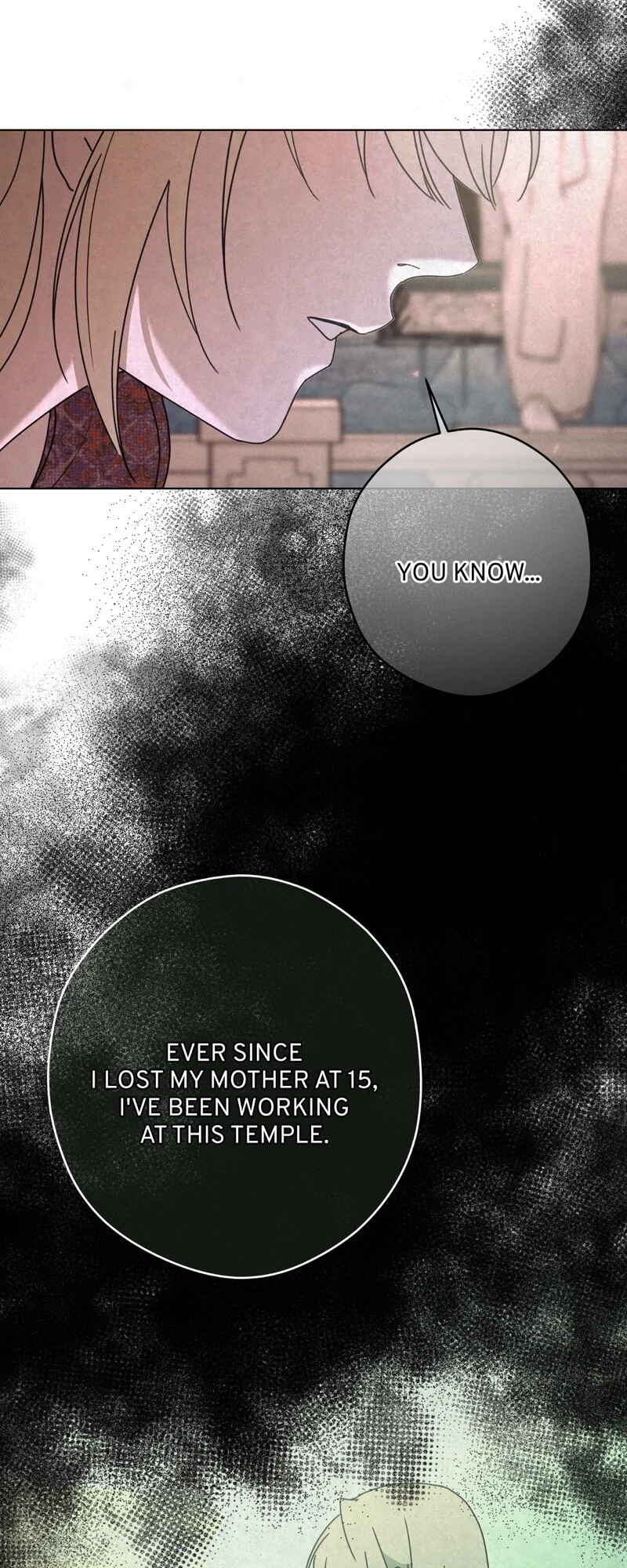 Tempting My Salvation chapter 44 page 28