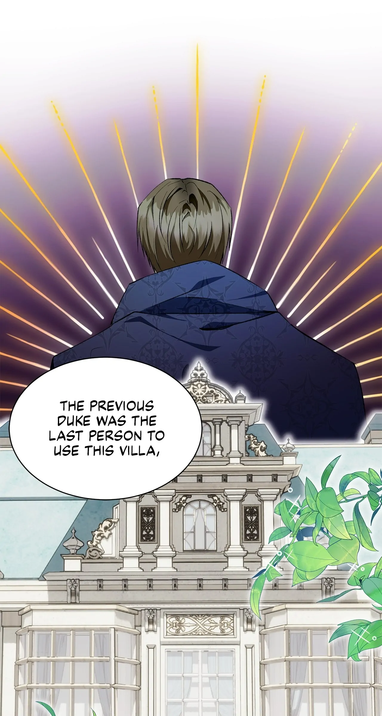 The Duke And Duchess Divorce Circumstances chapter 12 page 13
