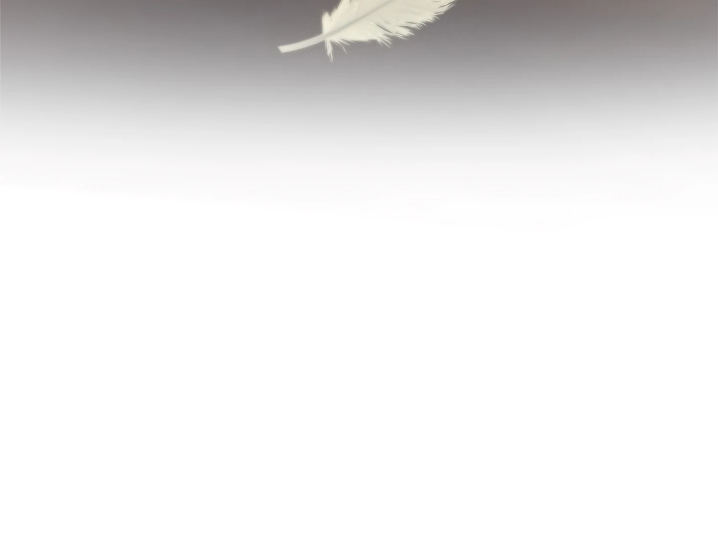 Regas chapter 81 page 211