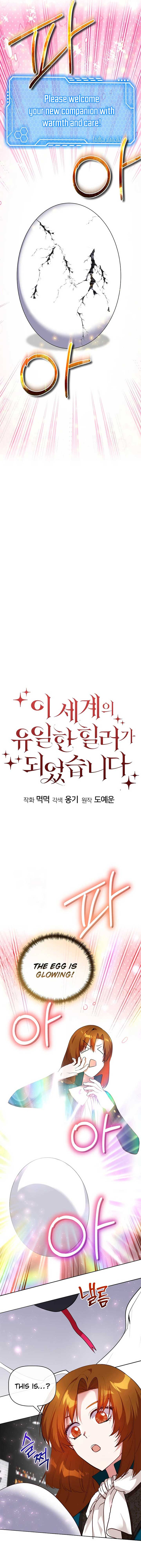 I Became the Only Healer in This World chapter 53 page 4