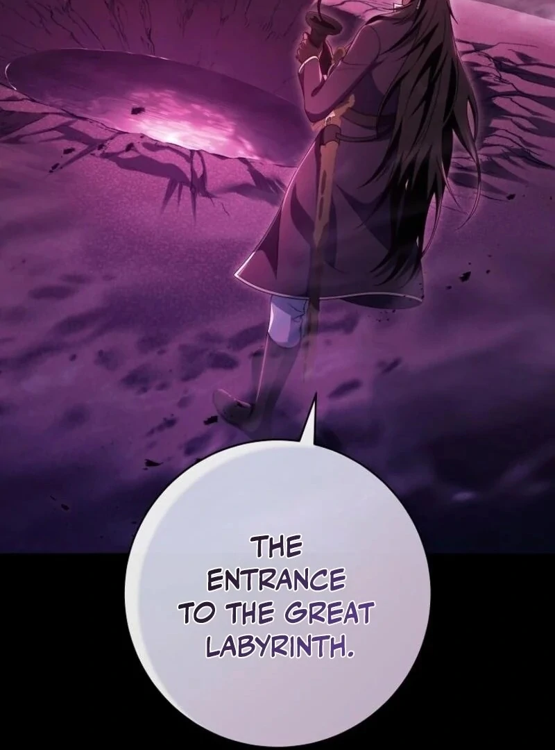 It’s My Destiny To Be The Hero’s Saviour chapter 146 page 117
