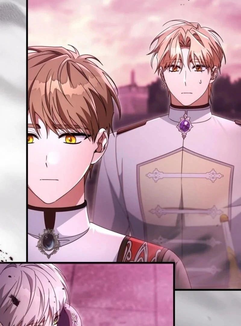 It’s My Destiny To Be The Hero’s Saviour chapter 146 page 88