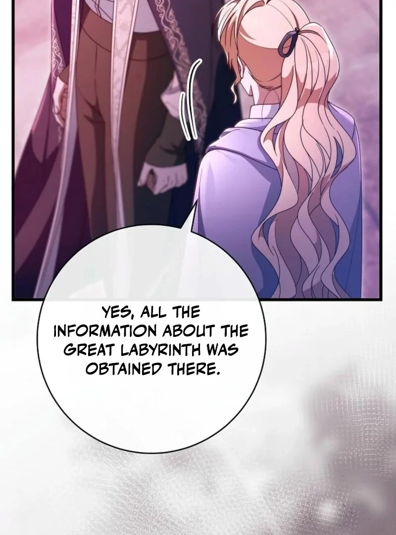 It’s My Destiny To Be The Hero’s Saviour chapter 146 page 96